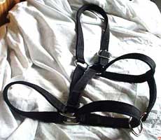 Amish Made Draft Horse Halters