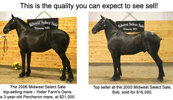 Spring 2006 Midwest Select Sale Top Seller